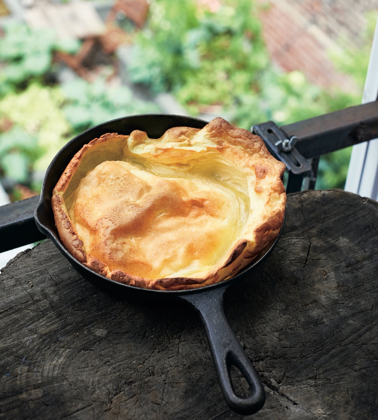Dutch Babies Penguin Random House Canada