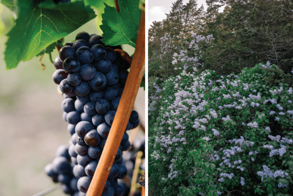 Photos of Prince Edward County