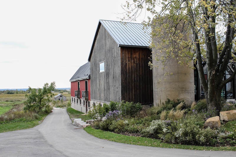 Earth to Table: The Farm